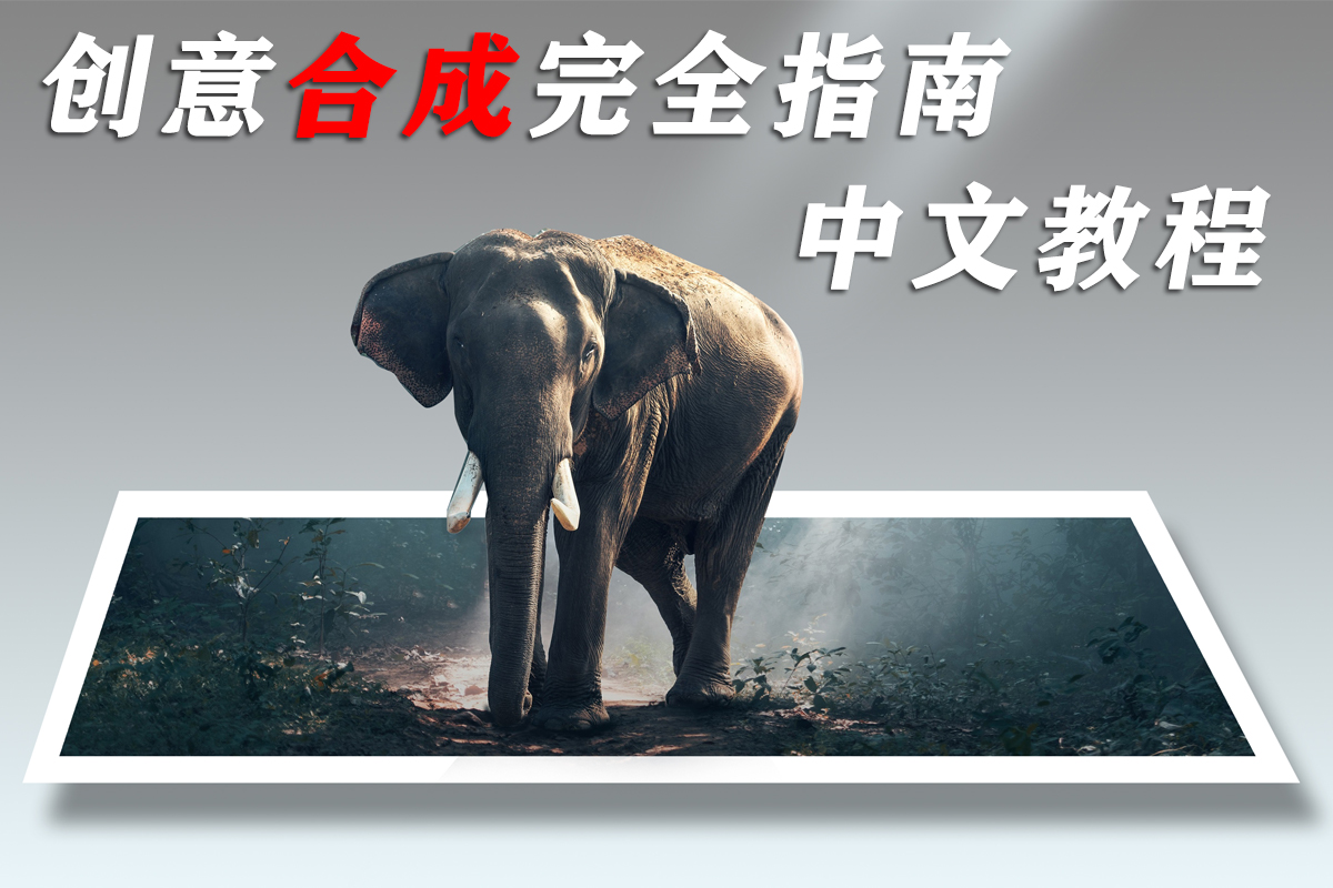 老飘飘-创意魔法合成完全指南：从理念到技法中文教程