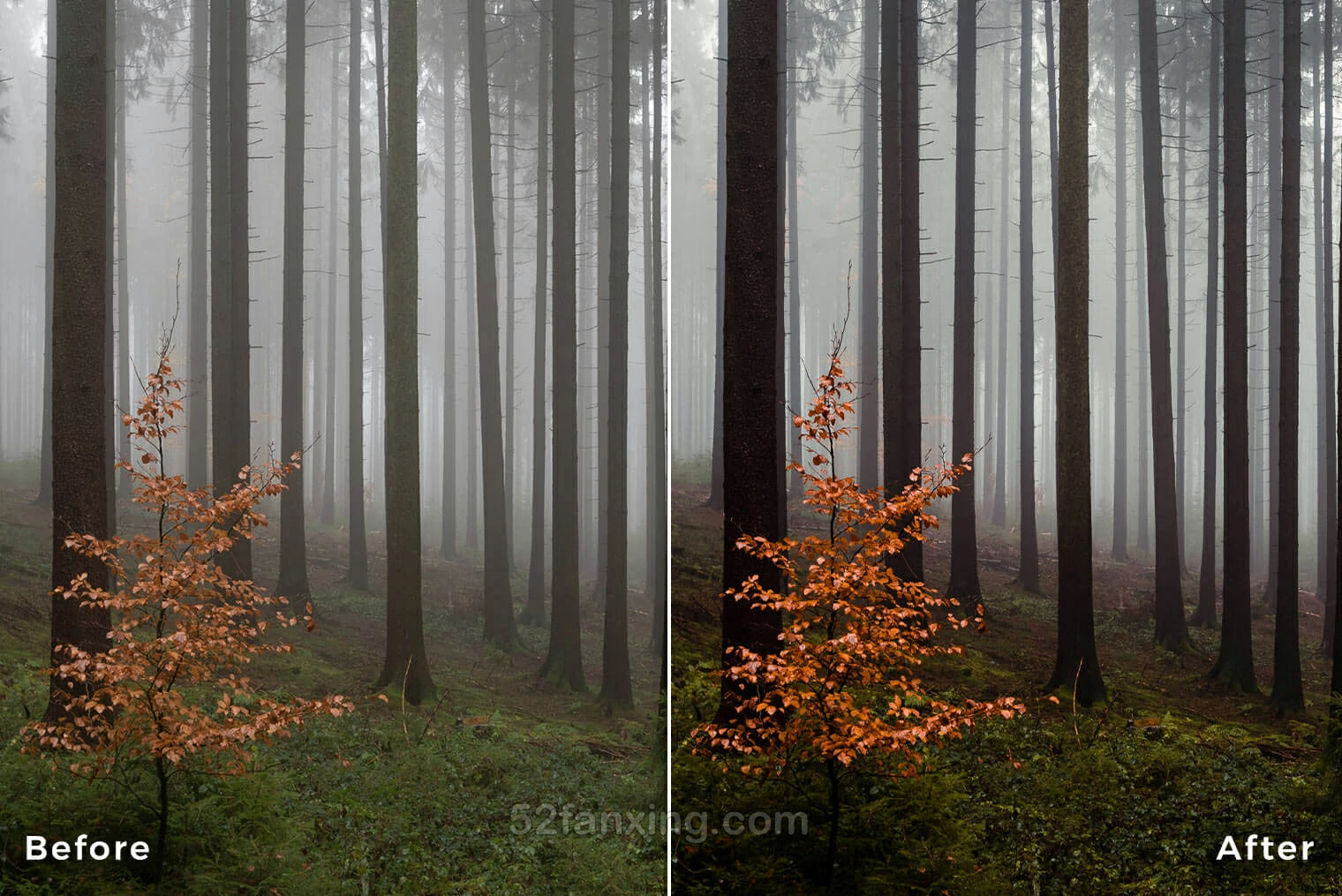 20款风光后期调色摄影调色飞思Capture One 样式预设 Northlandscapes – Landscape Essentials
