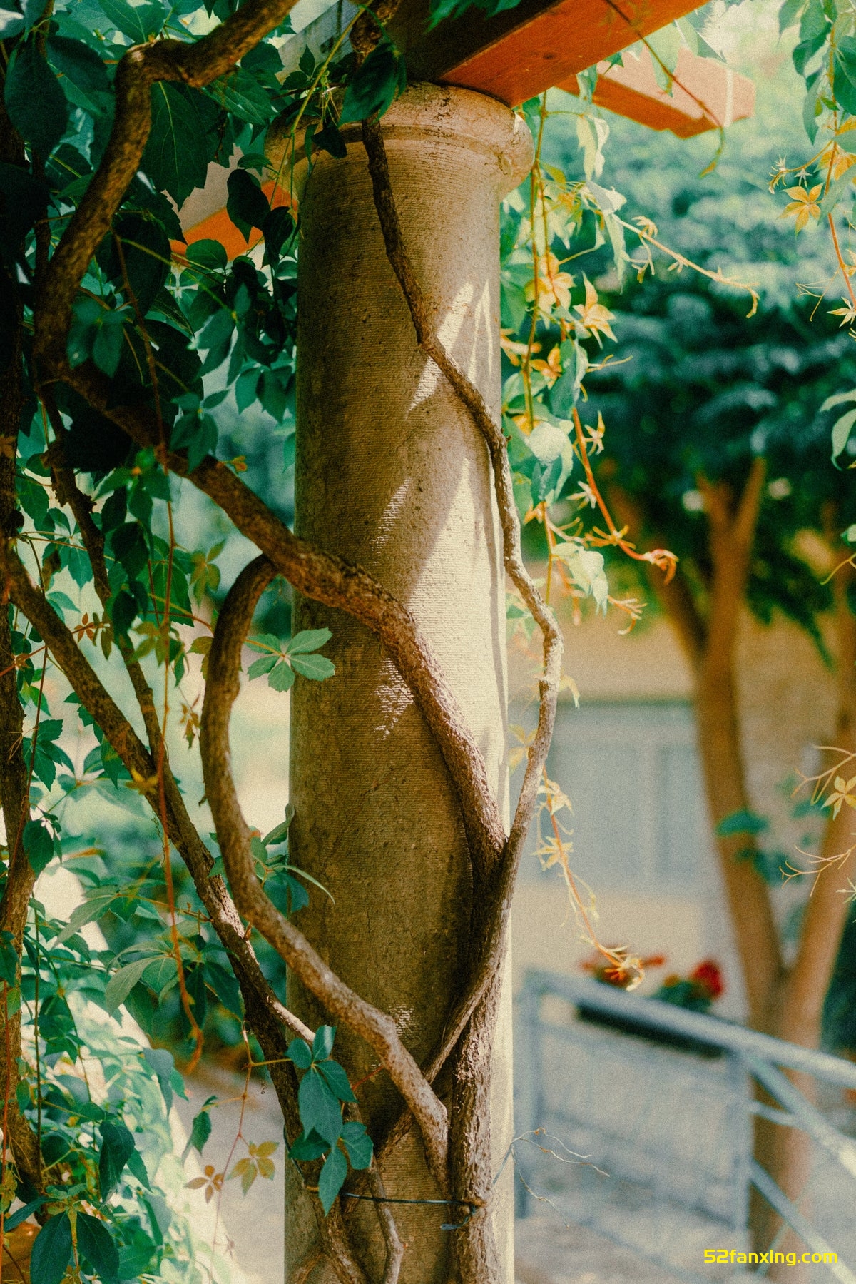 【PS/LR预设】13款复古35MM胶片人像风光静物摄影调色Lightroom预设 Crawat 35MM Film Look Presets