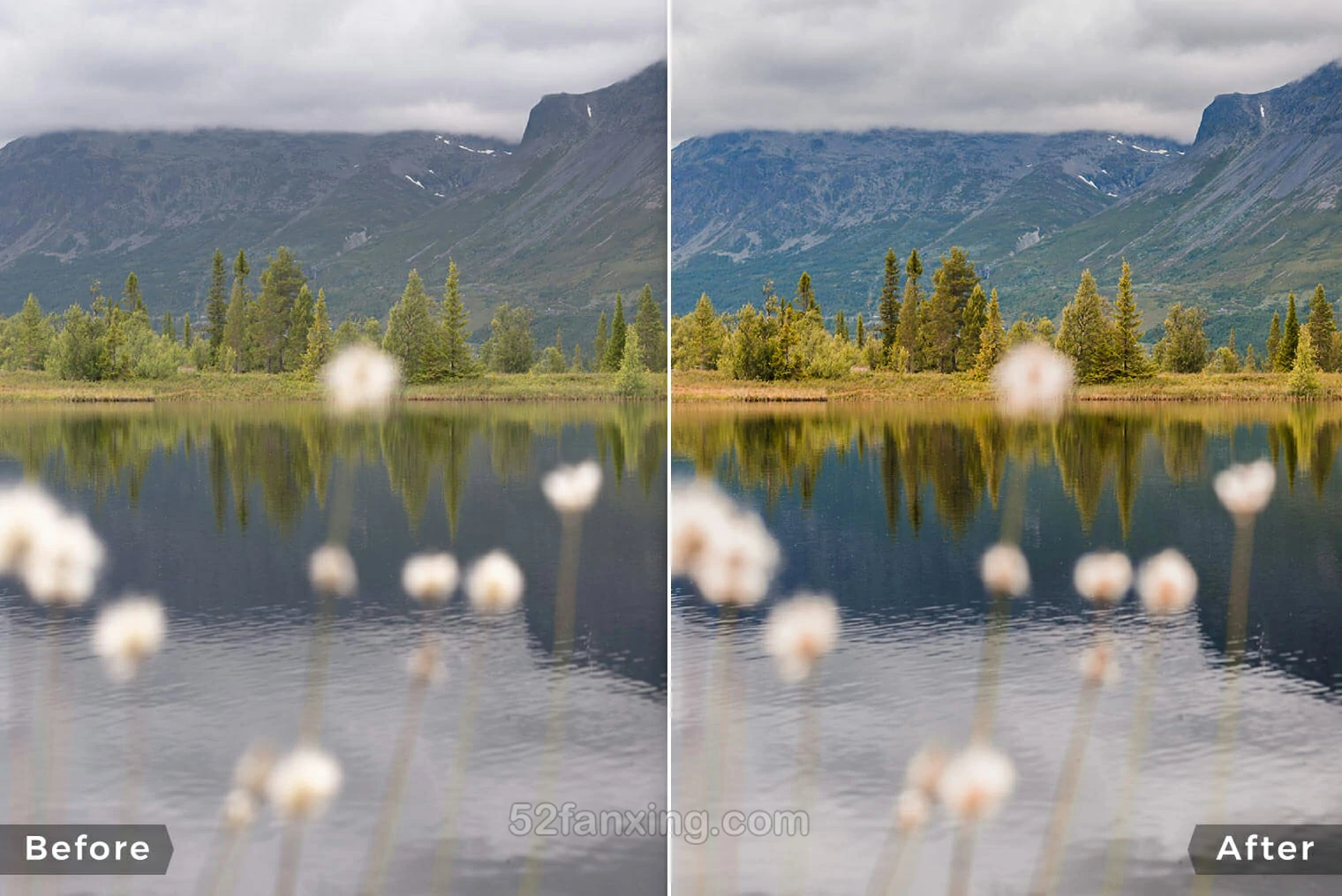 20款风光后期调色摄影调色飞思Capture One 样式预设 Northlandscapes – Landscape Essentials