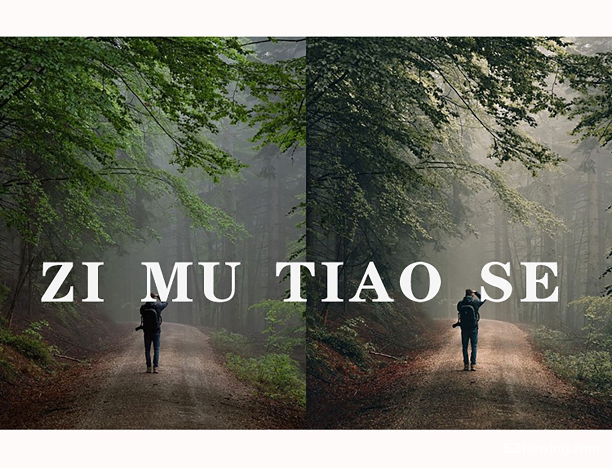 自然户外森系PR/FCPX达芬奇视频LUT手机LR滤镜剪映PS颜色查找预设