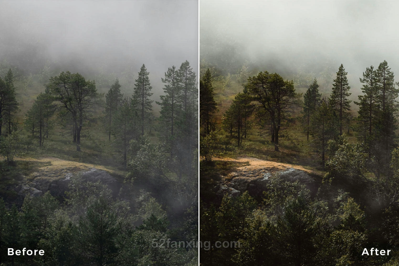 20款风光后期调色摄影调色飞思Capture One 样式预设 Northlandscapes – Landscape Essentials